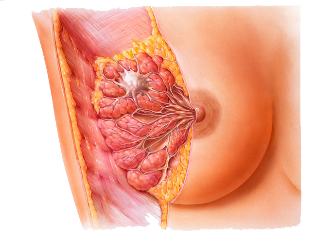 10 причин боли в груди у женщин